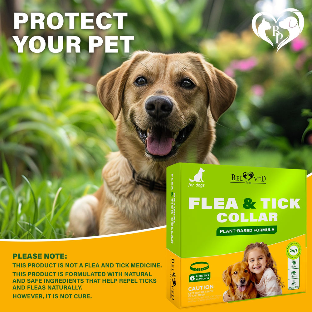 Beloved Pets collier sans irritation chimique, utilisation pratique