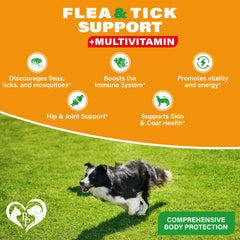 Beloved Pets comprimés soutenant les articulations du chien grâce à la glucosamine.