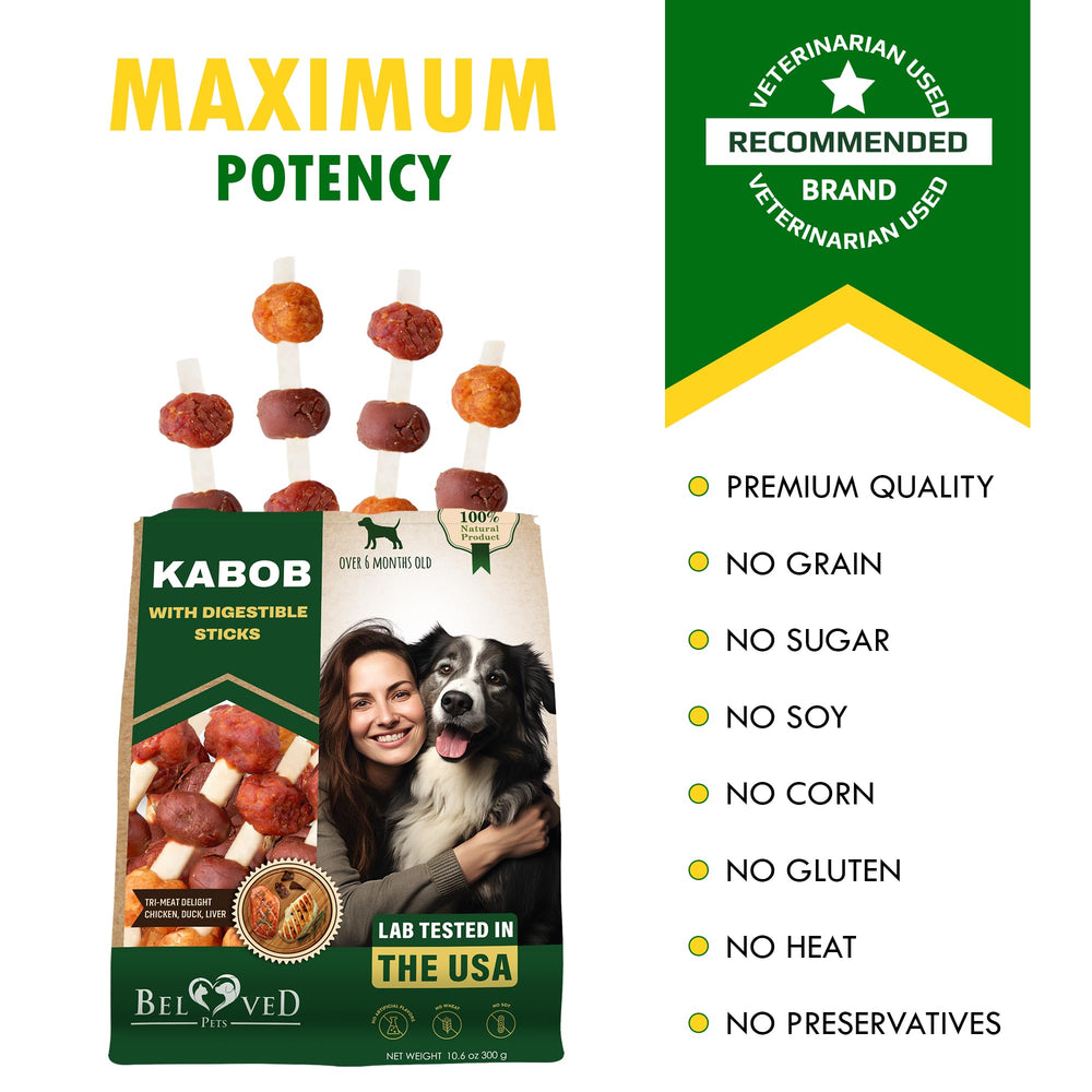 Beloved Pets – convient à toutes les tailles de chiens.