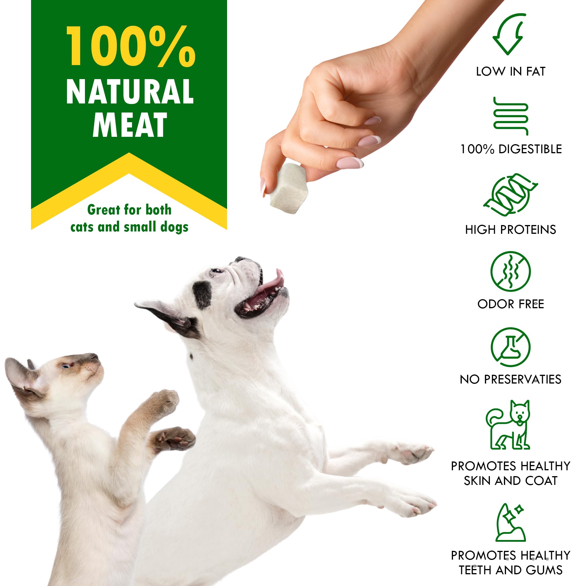 Chat savourant Beloved Pets cubes poulet lyophilise comme récompense nocturne