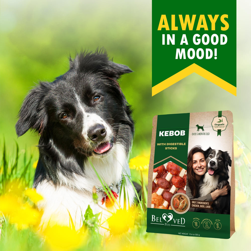 Beloved Pets – emballage environ 300 g, portion pratique.