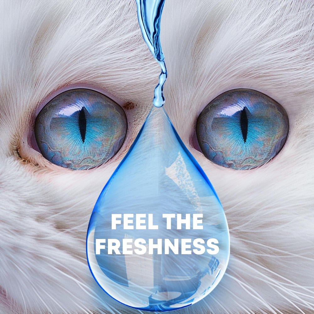 Beloved Pets emballage-gouttes-yeux: présentation prête à l'emploi pour l'hygiène oculaire