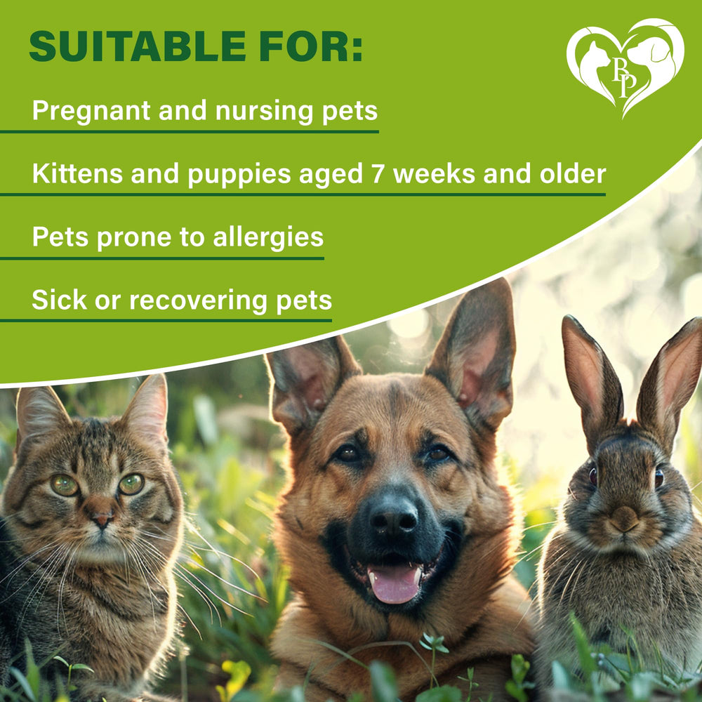 Beloved Pets Huiles essentielles naturelles — ingrédients végétaux bénéfiques pour les parasites.
