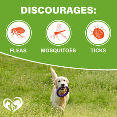 Beloved Pets pilules-chewables prévention-chien: dosage adapté selon le poids du chien.
