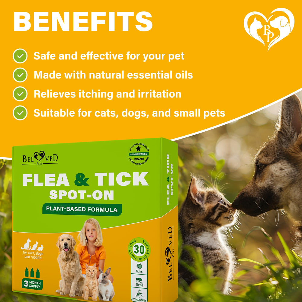 Beloved Pets Protection longue durée — couverture jusqu’à 3 mois pour animaux.
