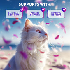 Beloved Pets protection meubles anti-griffures – chat sur canapé protégé.