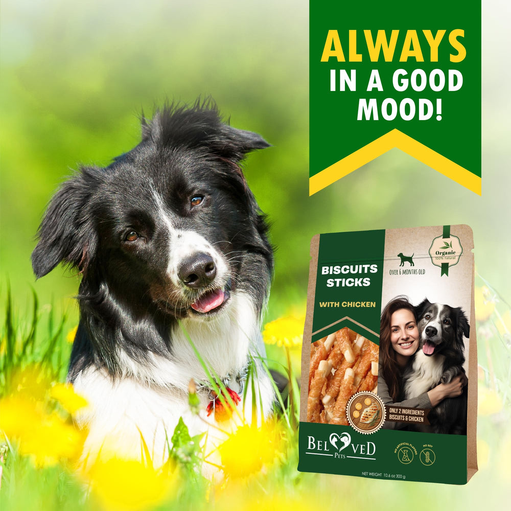 Beloved Pets récompense quotidienne idéale pour chien