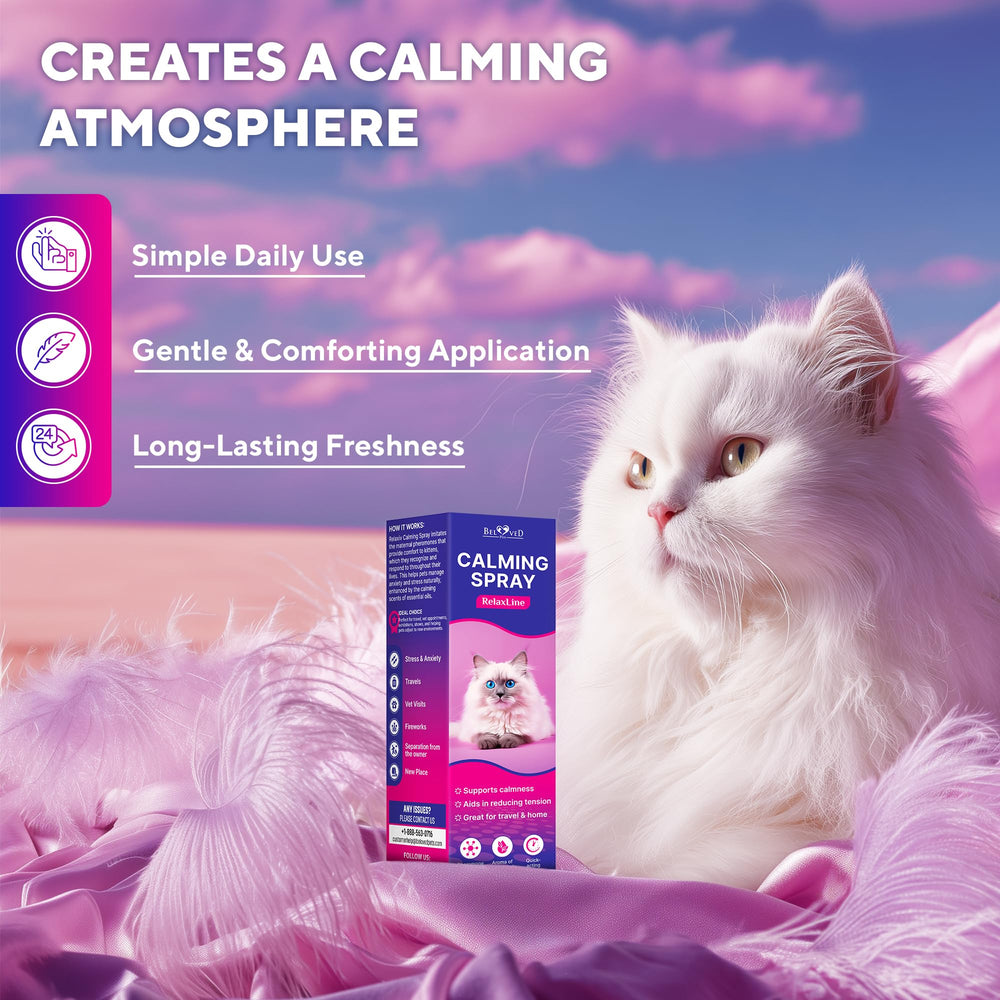 Beloved Pets réduction marquage urinaire – chat plus calme à domicile.