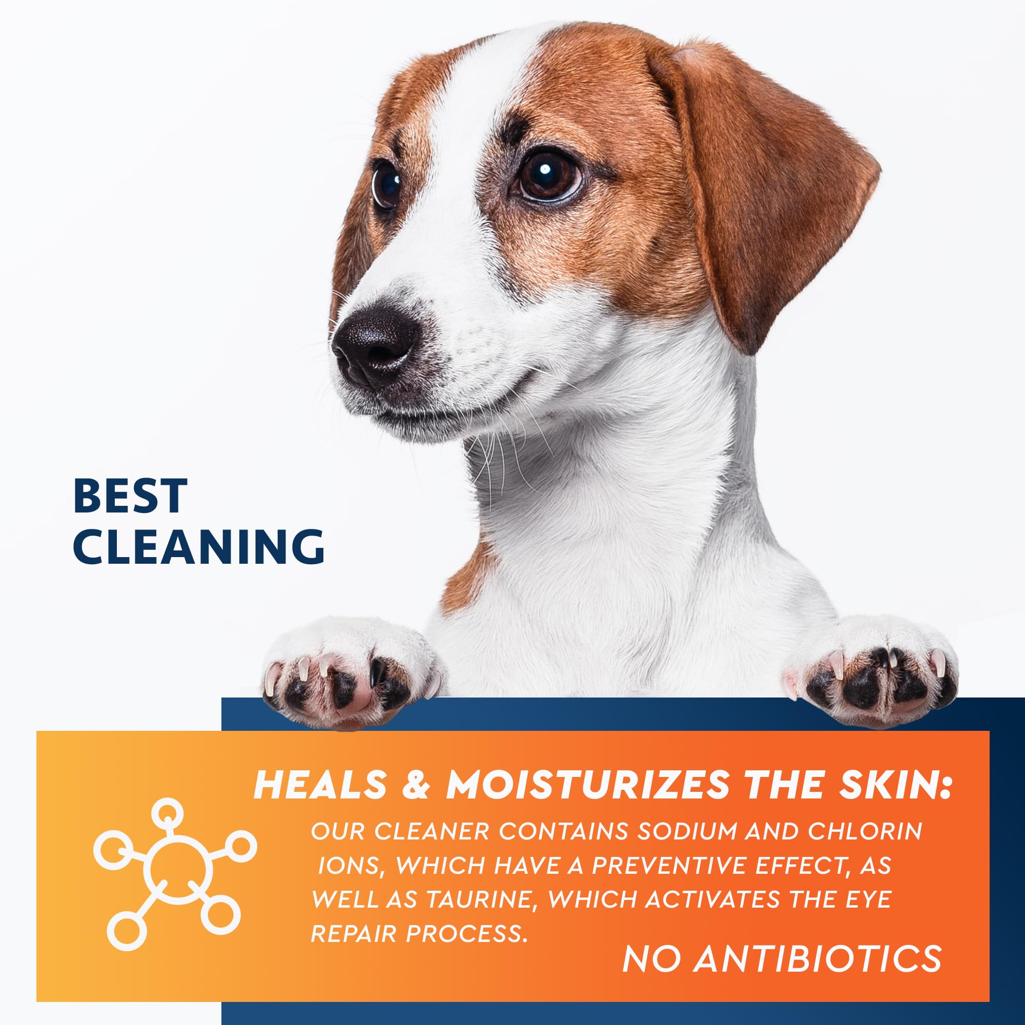 Utilisation hebdomadaire Beloved Pets Yeux, routine simple et sûre.