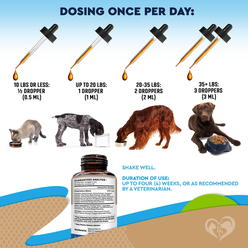 Beloved Pets Santé digestion chien chat – soutien potentiel du bien-être digestif.
