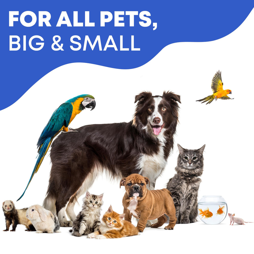 Sécurité et douceur Beloved Pets pour les yeux des animaux.