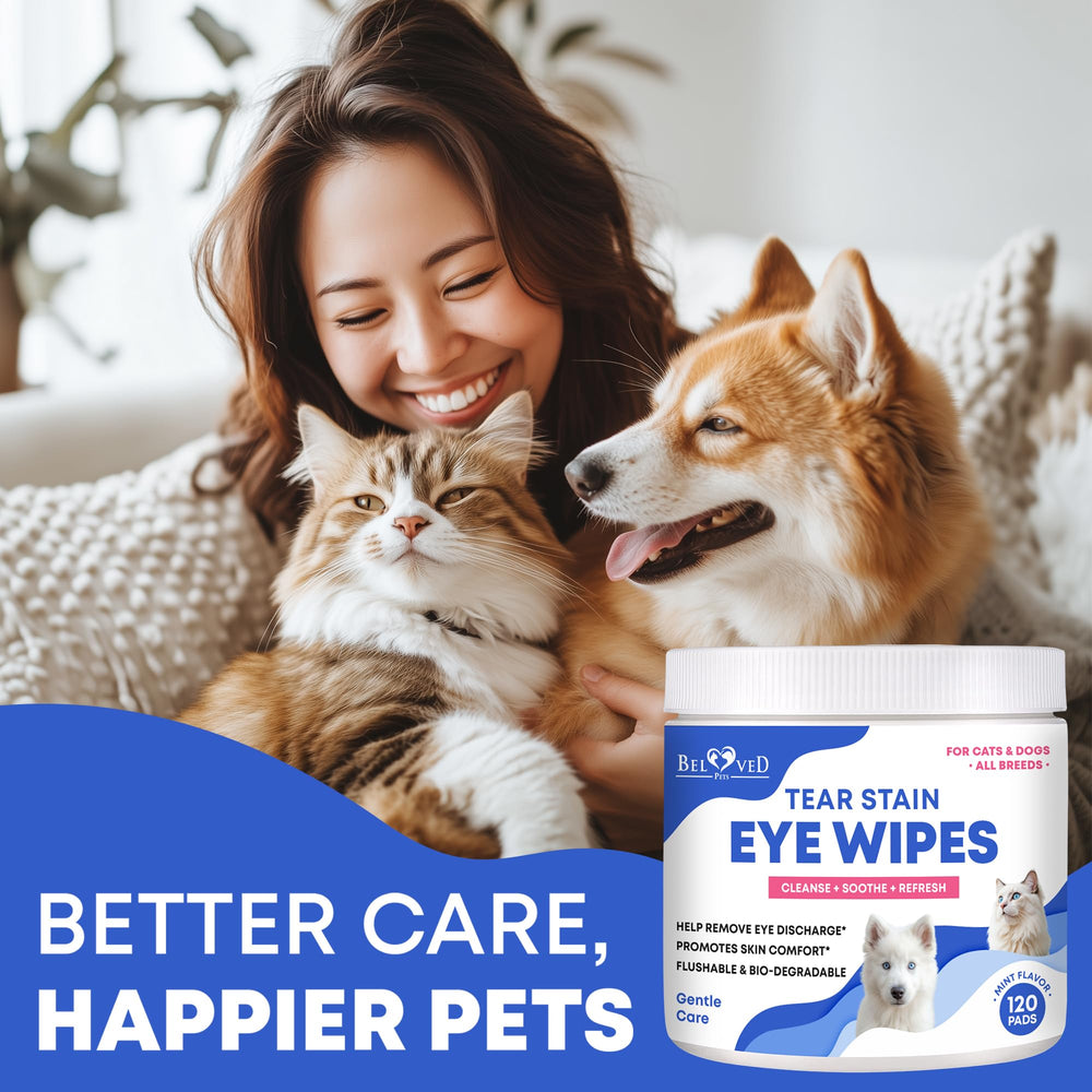 Usage quotidien facile des lingettes Beloved Pets autour des yeux.