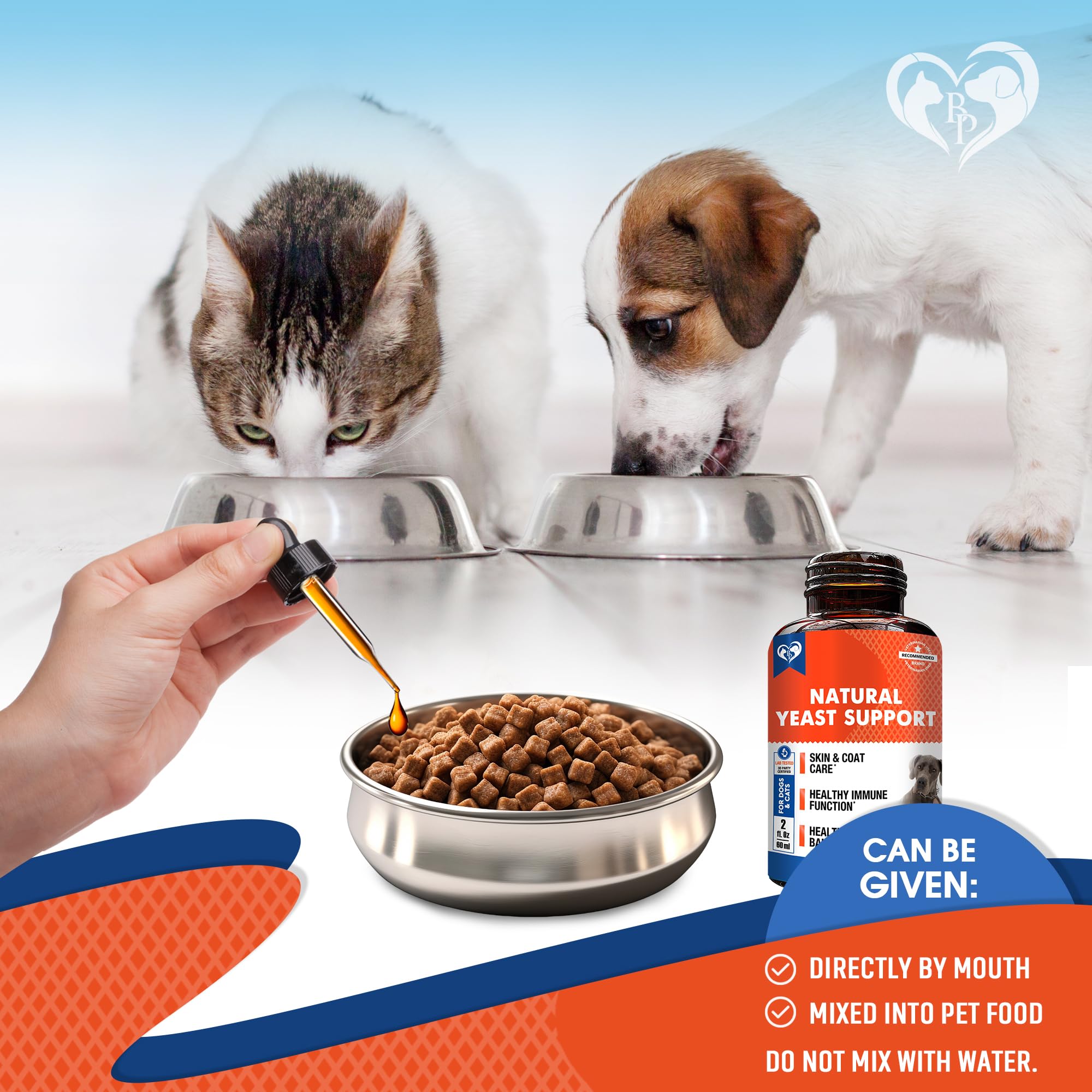 Beloved Pets utilisation chiens chats