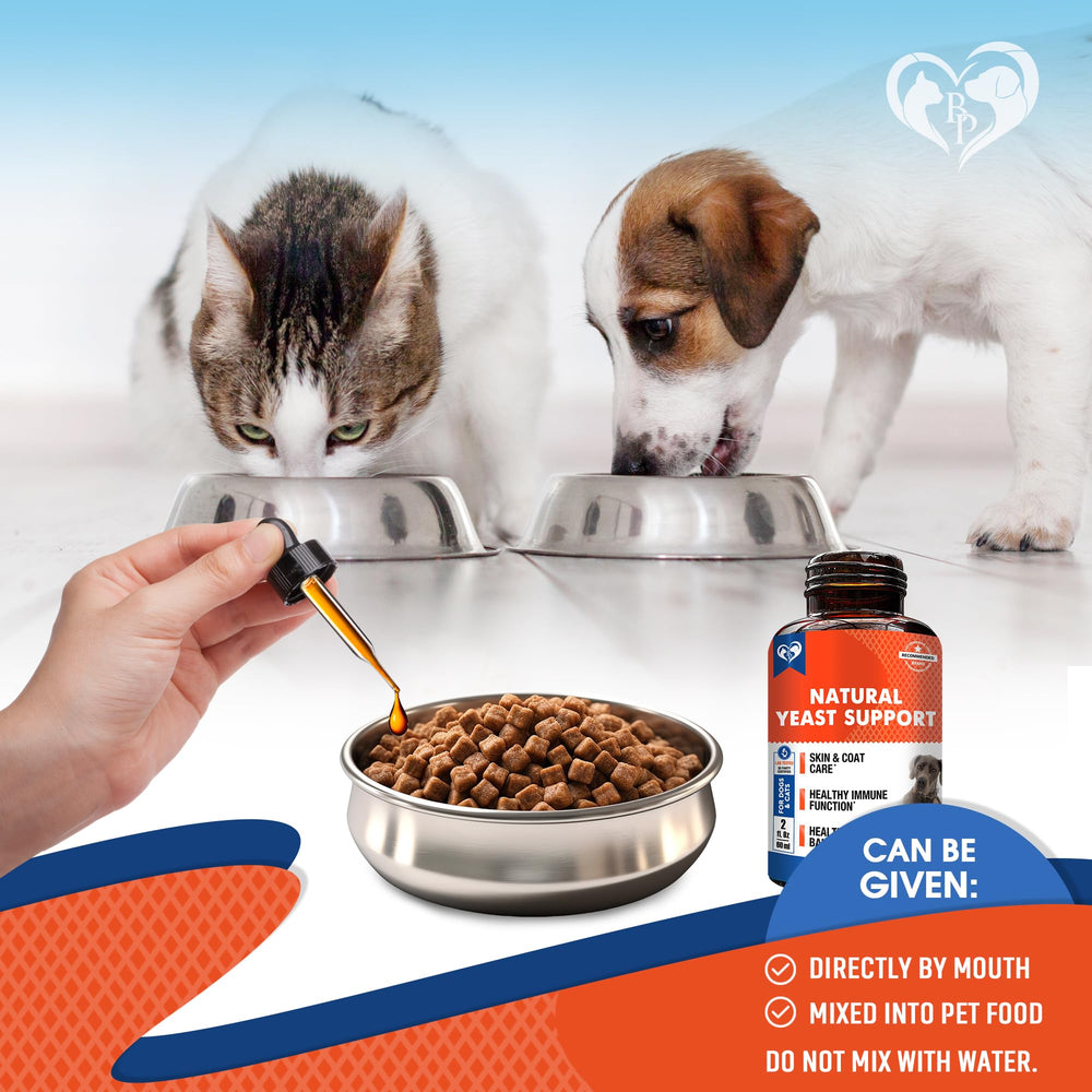 Beloved Pets utilisation chiens chats