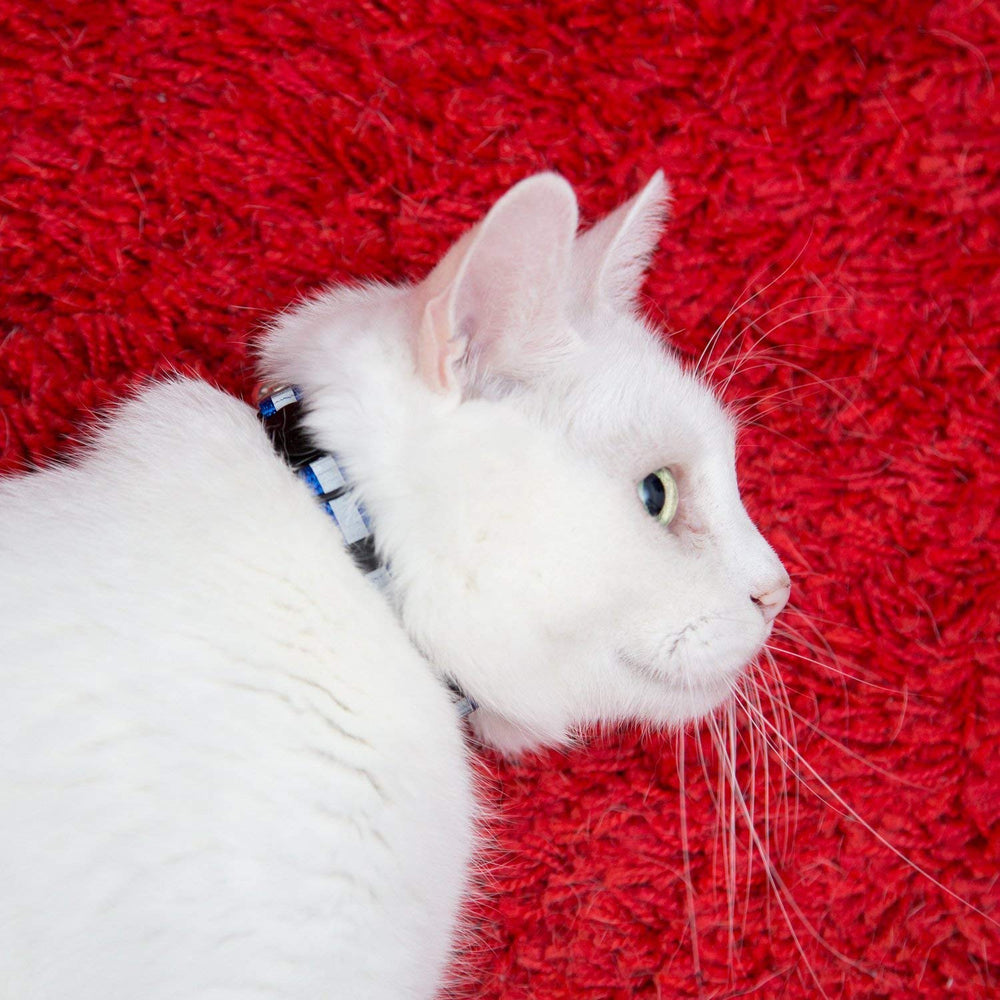 Bemix Pets collier chat multi couleurs, choix varié pour s'adapter au style.