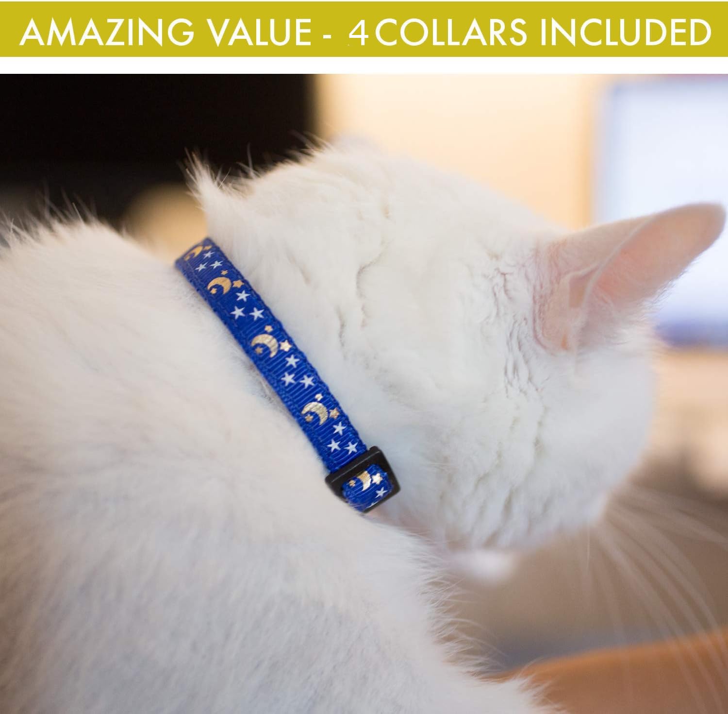 Collier Bemix Pets clochette violet, accessoire coloré et utile.
