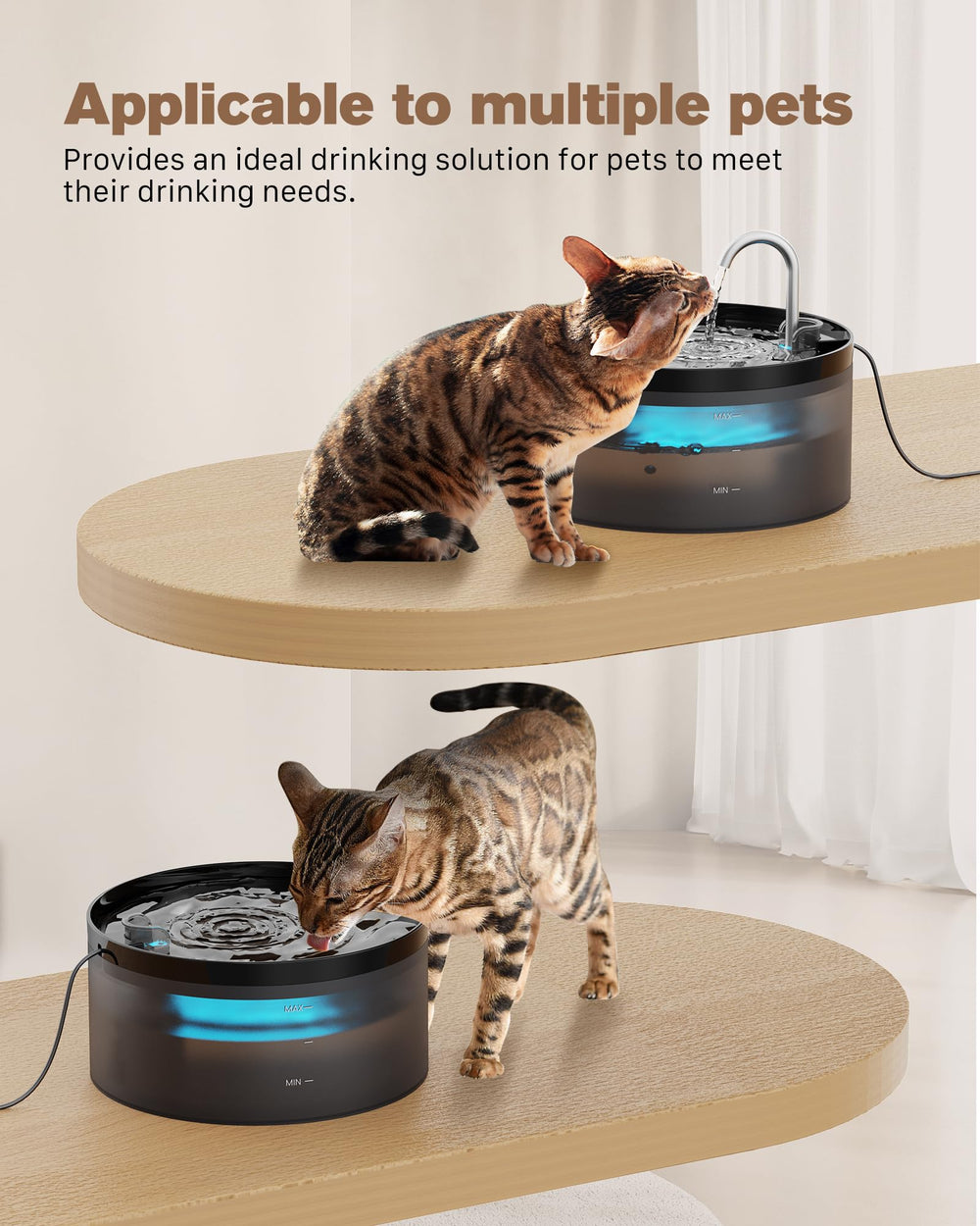 BEMOONY Fontaine chat capacité 3,2 L adaptée aux foyers multi‑animaux.
