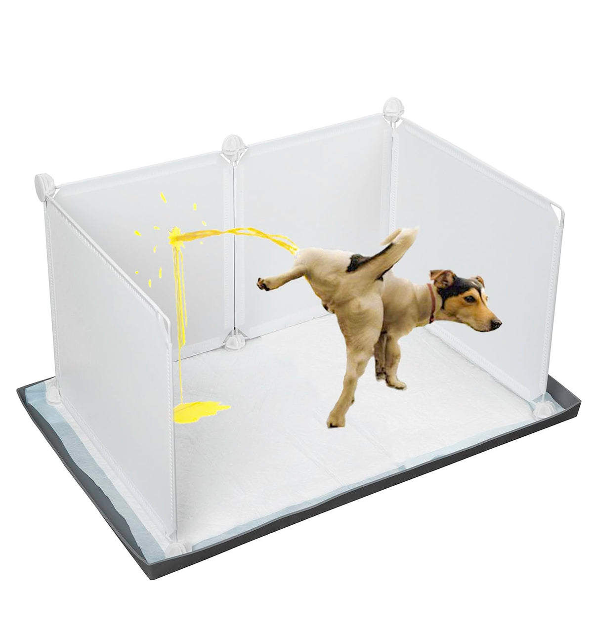 Bencacawinstyle boîte litière chien – hauts murs pour éviter les débordements.