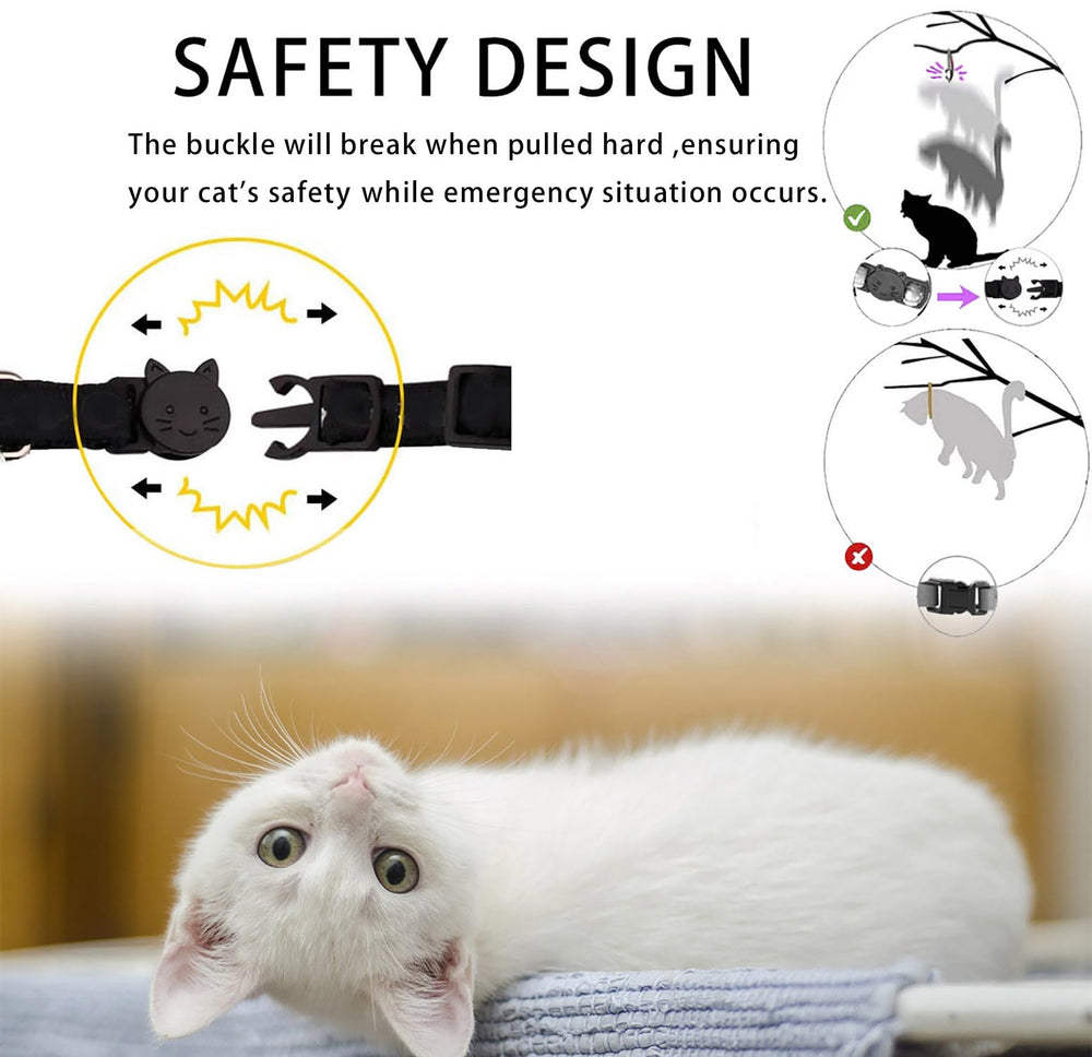 Collier rupture avec boucle securite rupture pour chat, libération rapide en cas de blocage.