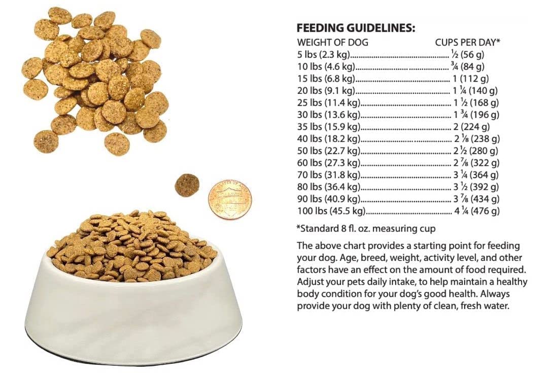 Bench & Field quinoa et grains – céréales nutritives pour énergie durable chez le chien.