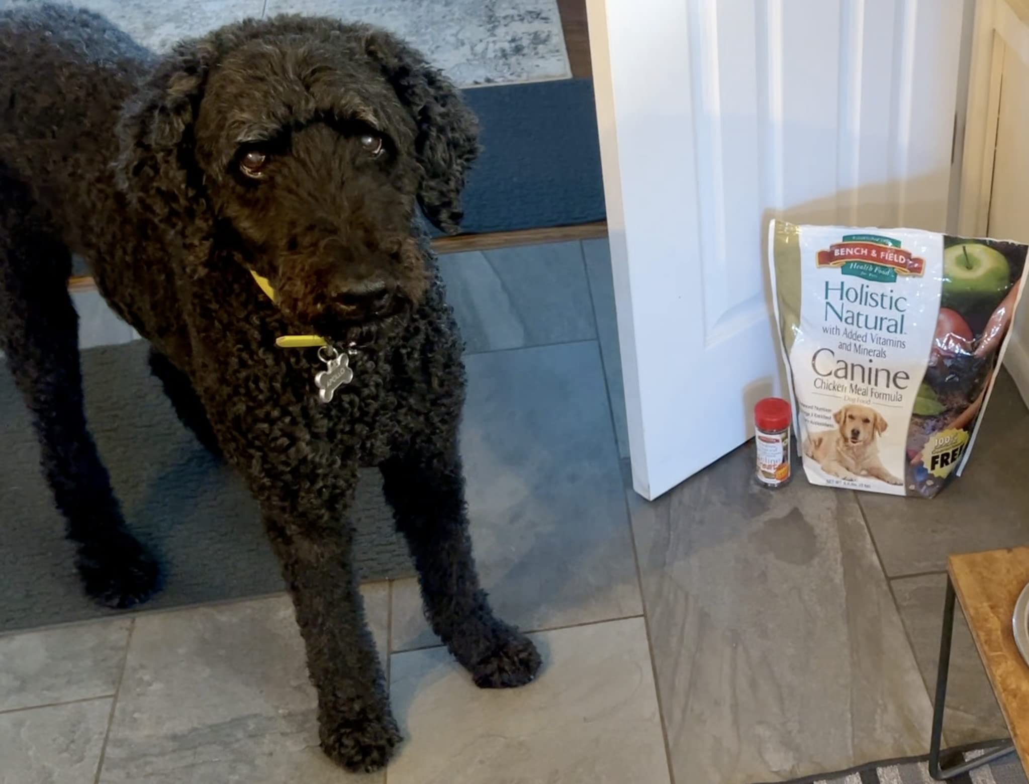 Bench & Field grains riches en nutriments, dont le quinoa, pour énergie durable.