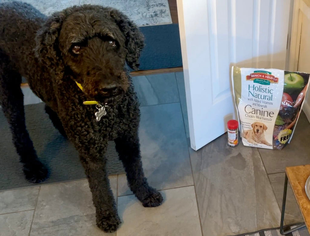 Bench & Field grains riches en nutriments, dont le quinoa, pour énergie durable.