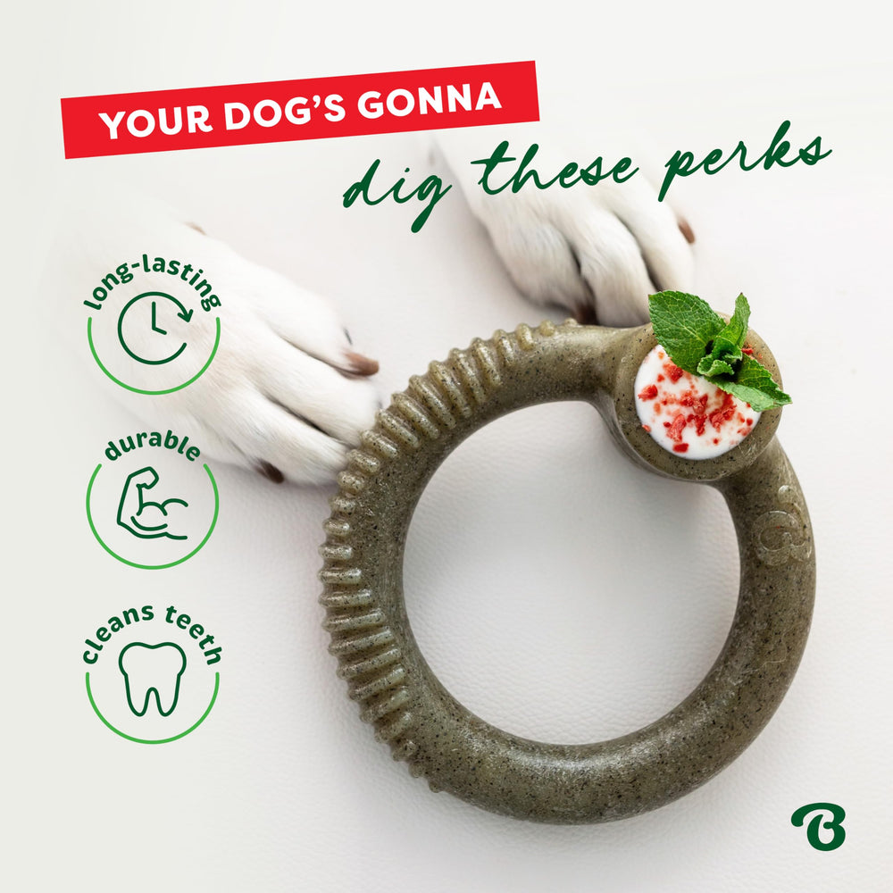 Divertissement durable avec le Benebone Ring anti-ennui pour chien.