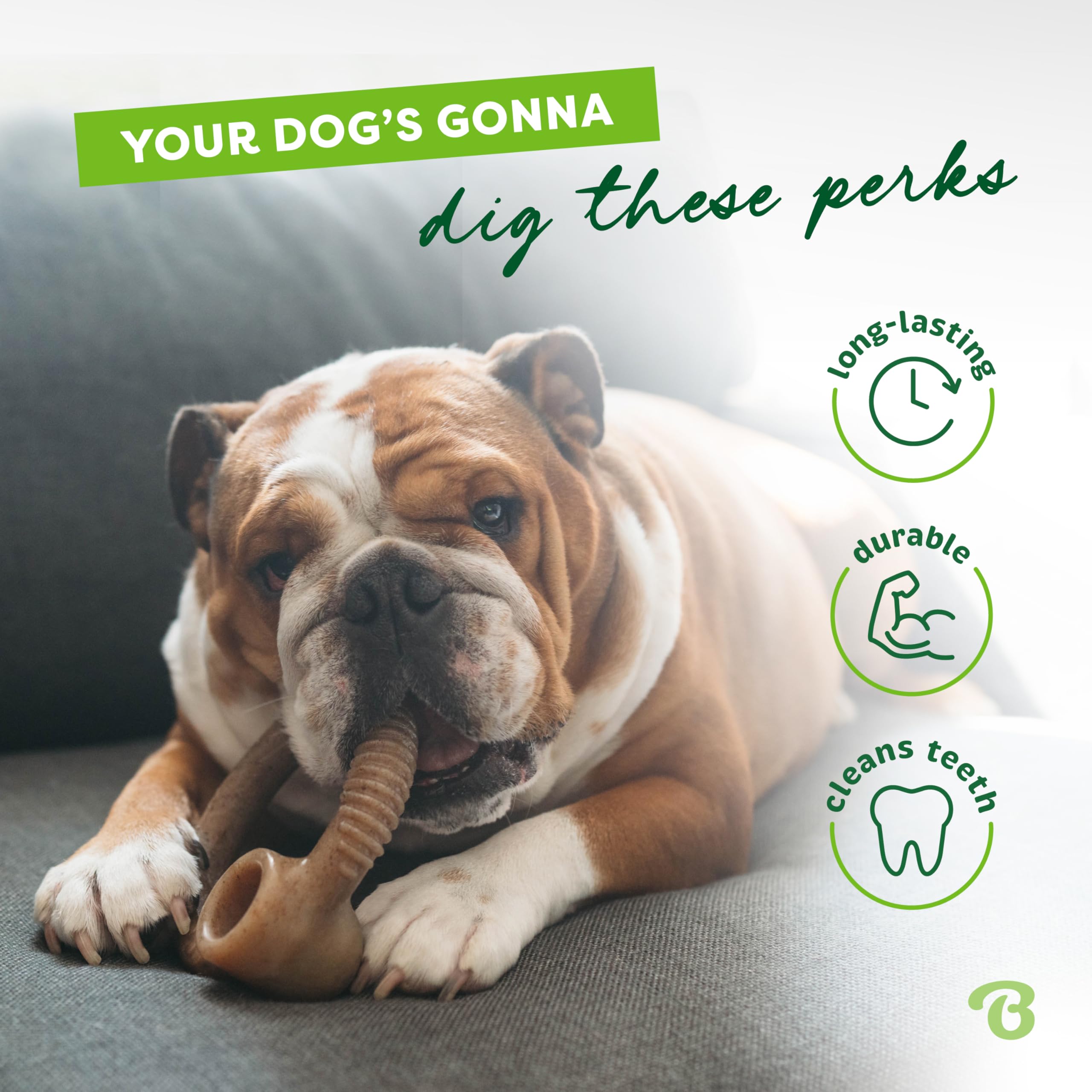 Benebone Ring – conçu aux Etats-Unis, matériau robuste pour chiens agressifs.