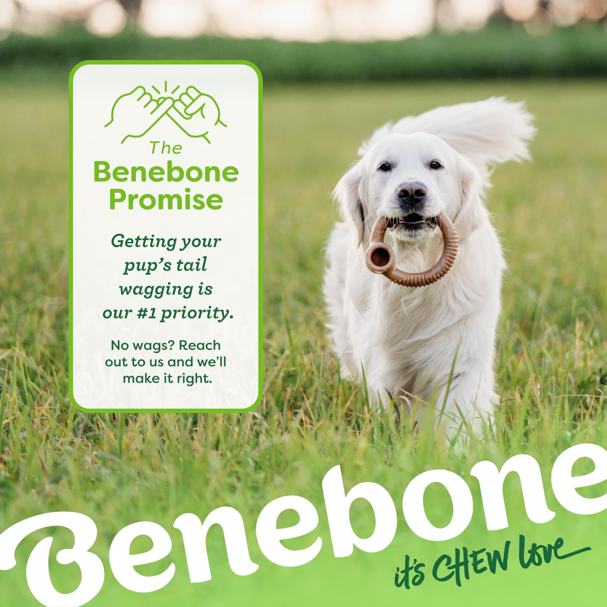 Benebone Ring – encourage le jeu interactif et peut aider à une haleine plus fraîche.