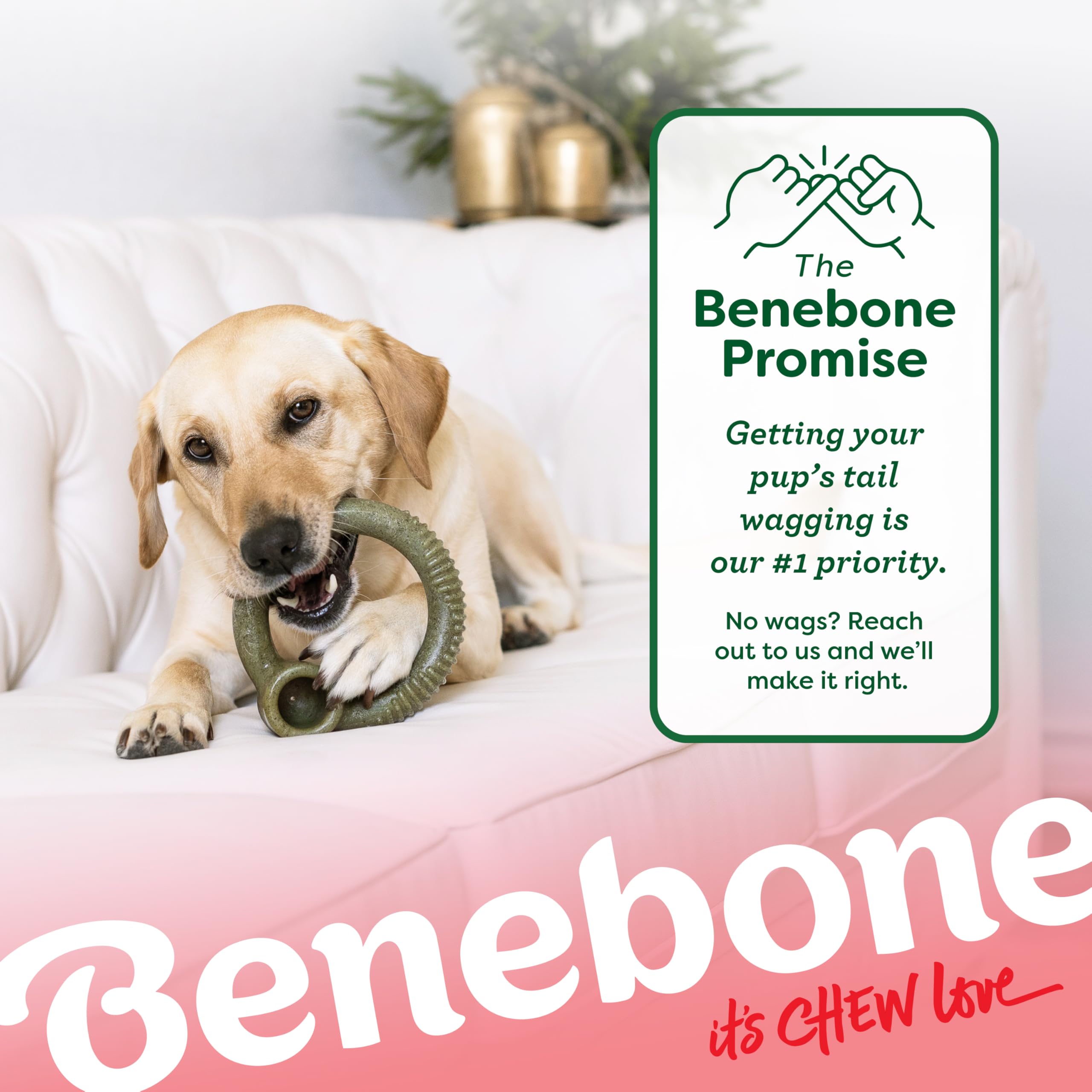 Jouet à mâcher menthe Benebone Ring, idéal pour sessions de jeu.