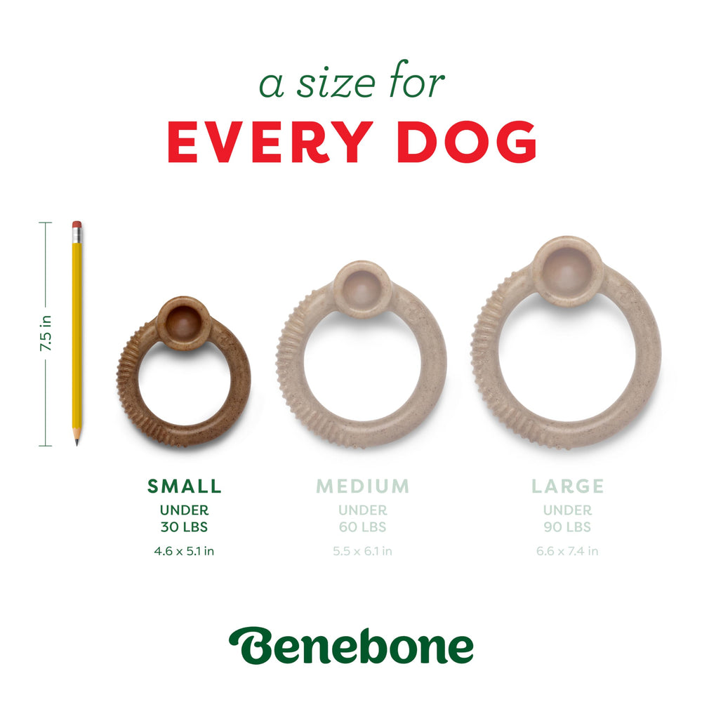 Benebone Anneau Menthe Emballage Noel : édition limitée parfaite comme cadeau festif.