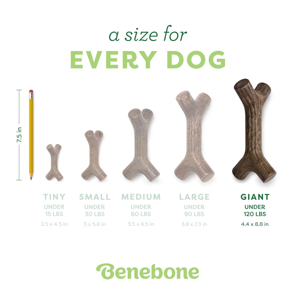 Benebone Bacon Stick, fabriqué aux États‑Unis, qualité et traçabilité.