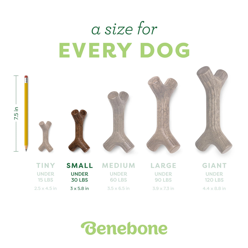 Benebone Bacon Stick Petit – durable et fabriqué aux États‑Unis.