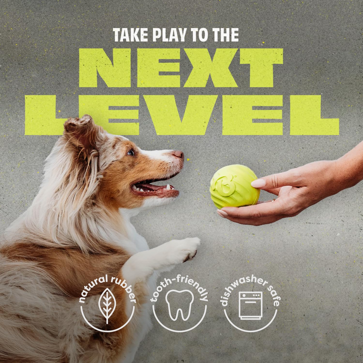 Benebone Balle pour chien, lavable au lave-vaisselle pour un nettoyage simple.