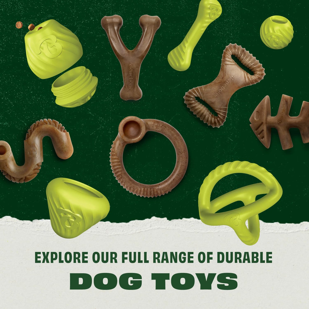 Benebone caoutchouc naturel, compagnon sûr pour chiens actifs.
