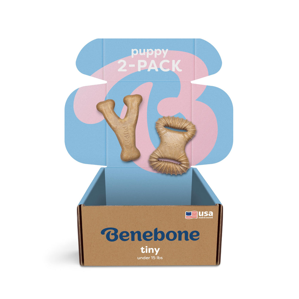 Benebone Puppy mordeur dentaire au poulet: stimulation mentale et réduction de l’ennui.