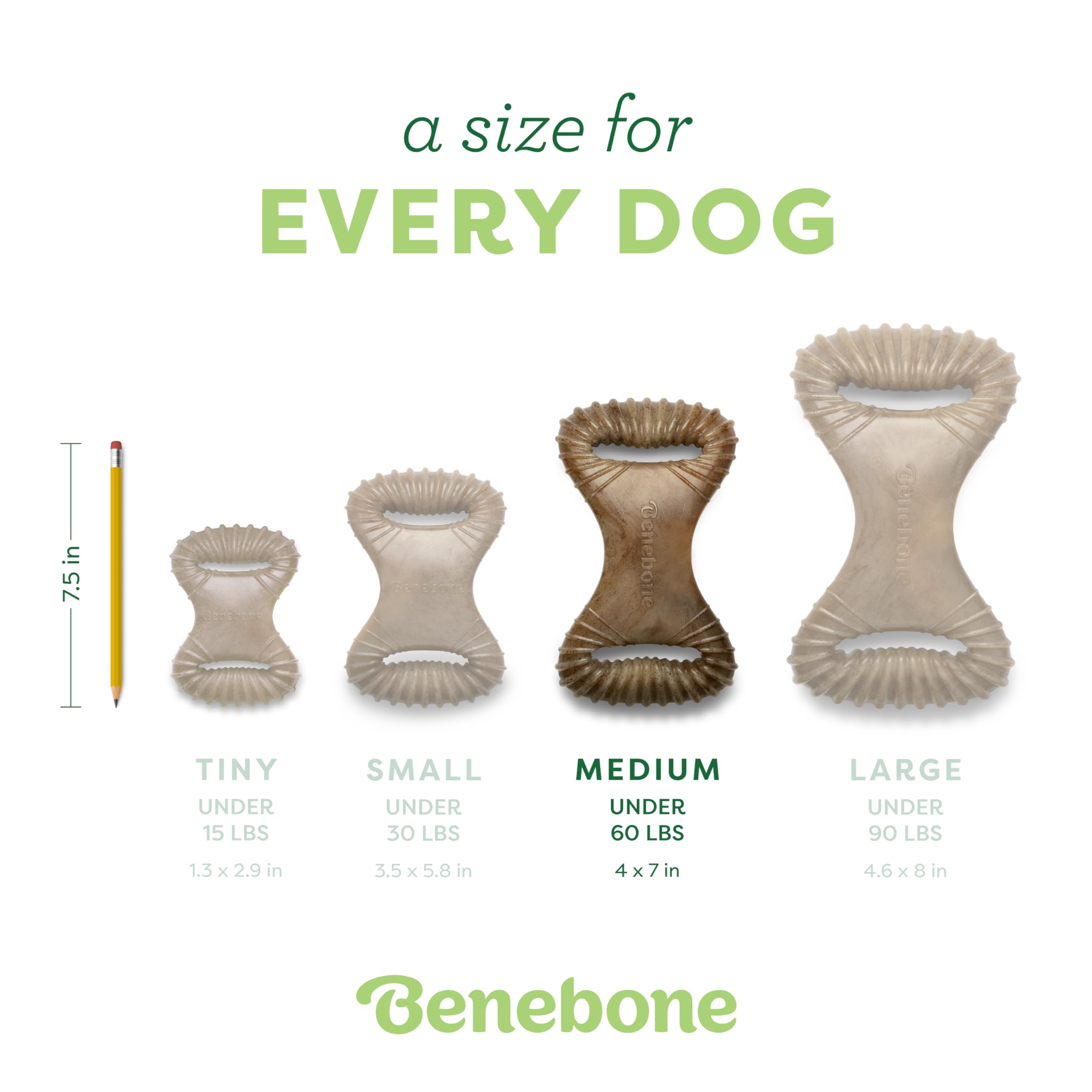 Benebone crêtes dentaires stimulantes, favorisant l'interaction lors des jeux.