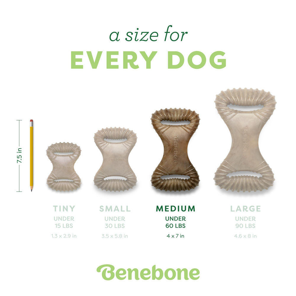 Benebone durabilité longue durée pour jeux répétés