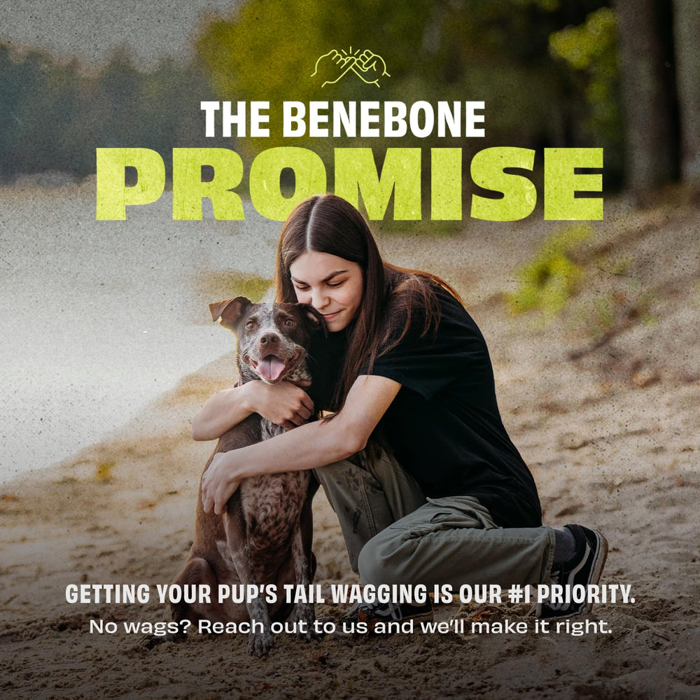 Benebone entretien facilité – nettoyage rapide après jeu.