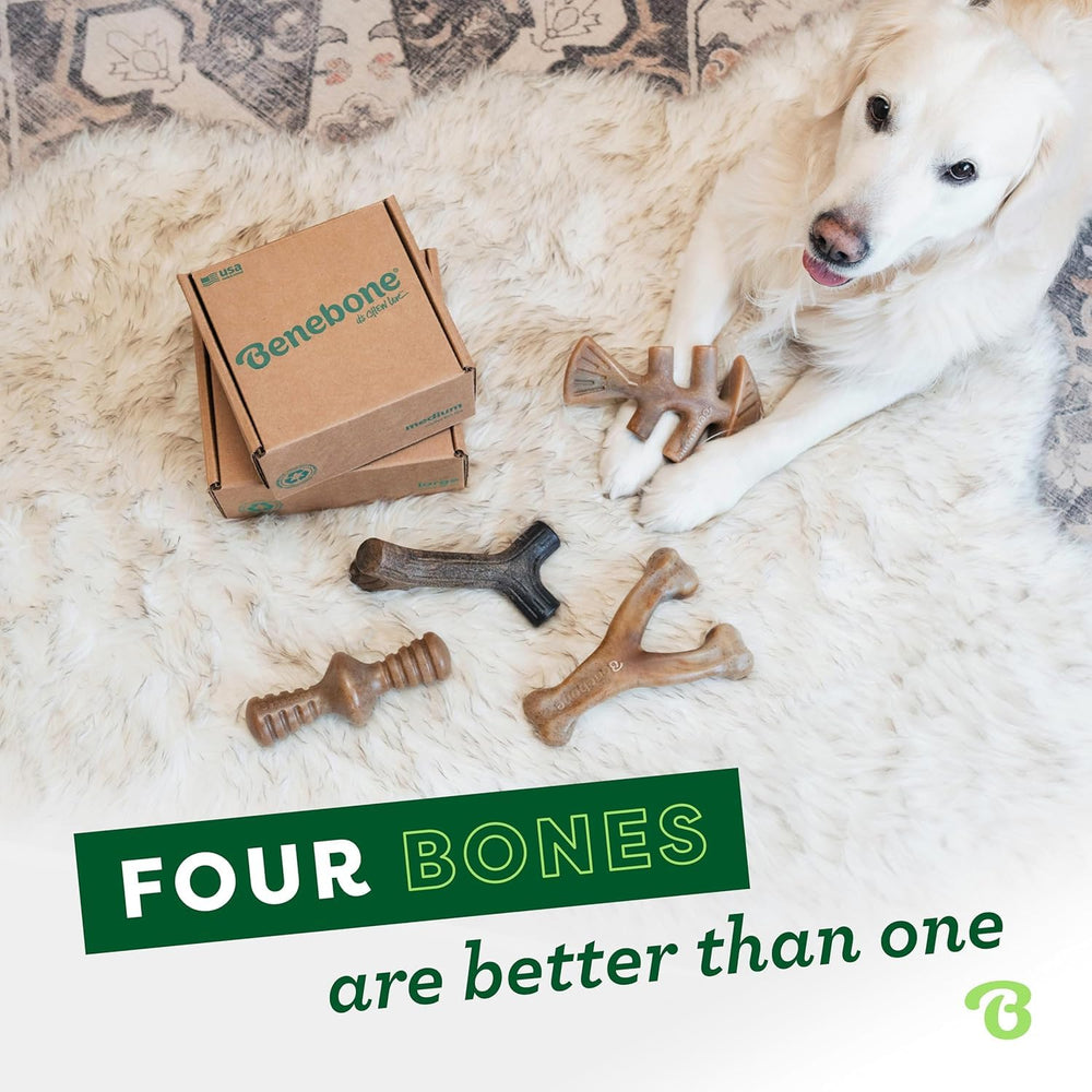 Benebone fabriqué aux États‑Unis – fabrication rigoureuse et durable
