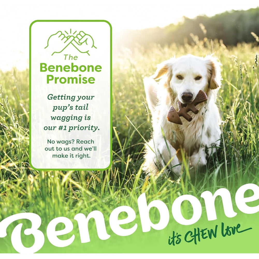 Benebone Fishbone – expérience sensorielle agréable pour chien et propriétaire