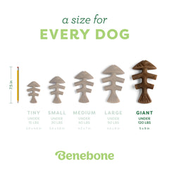 Benebone Fishbone, fabrication nationale, fabriqué aux États-Unis pour la durabilité.
