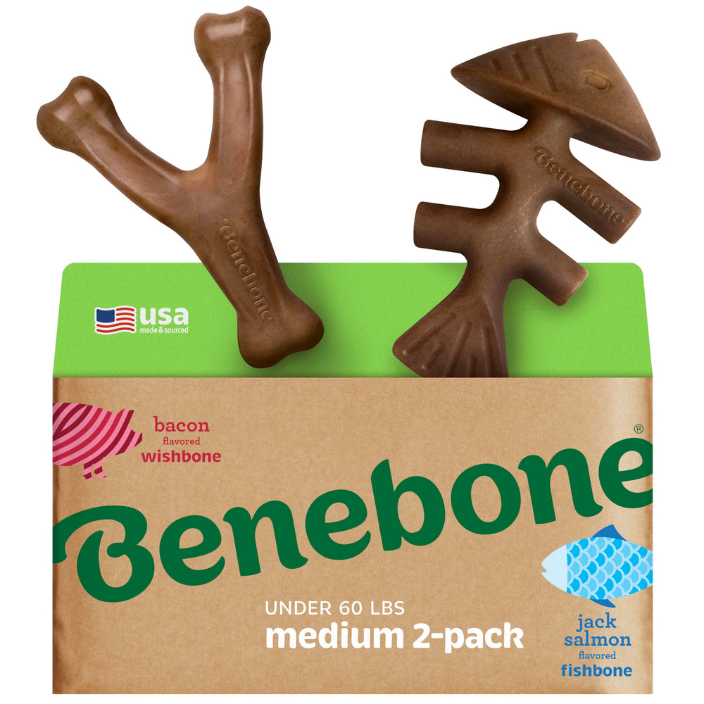 Benebone Fishbone avec poisson réel, stimulation sensorielle et plaisir de mâcher.