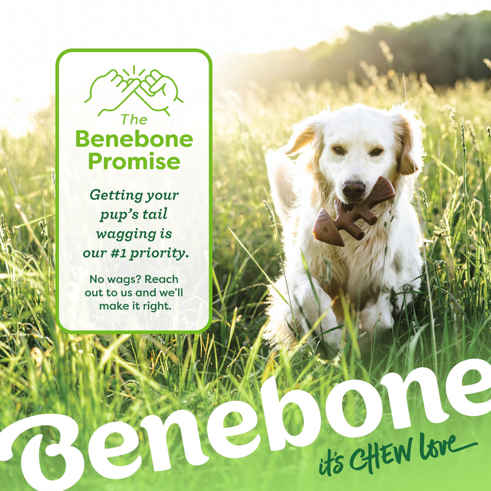 Garantie satisfaction Benebone et assistance client réactive pour vous et votre chien.