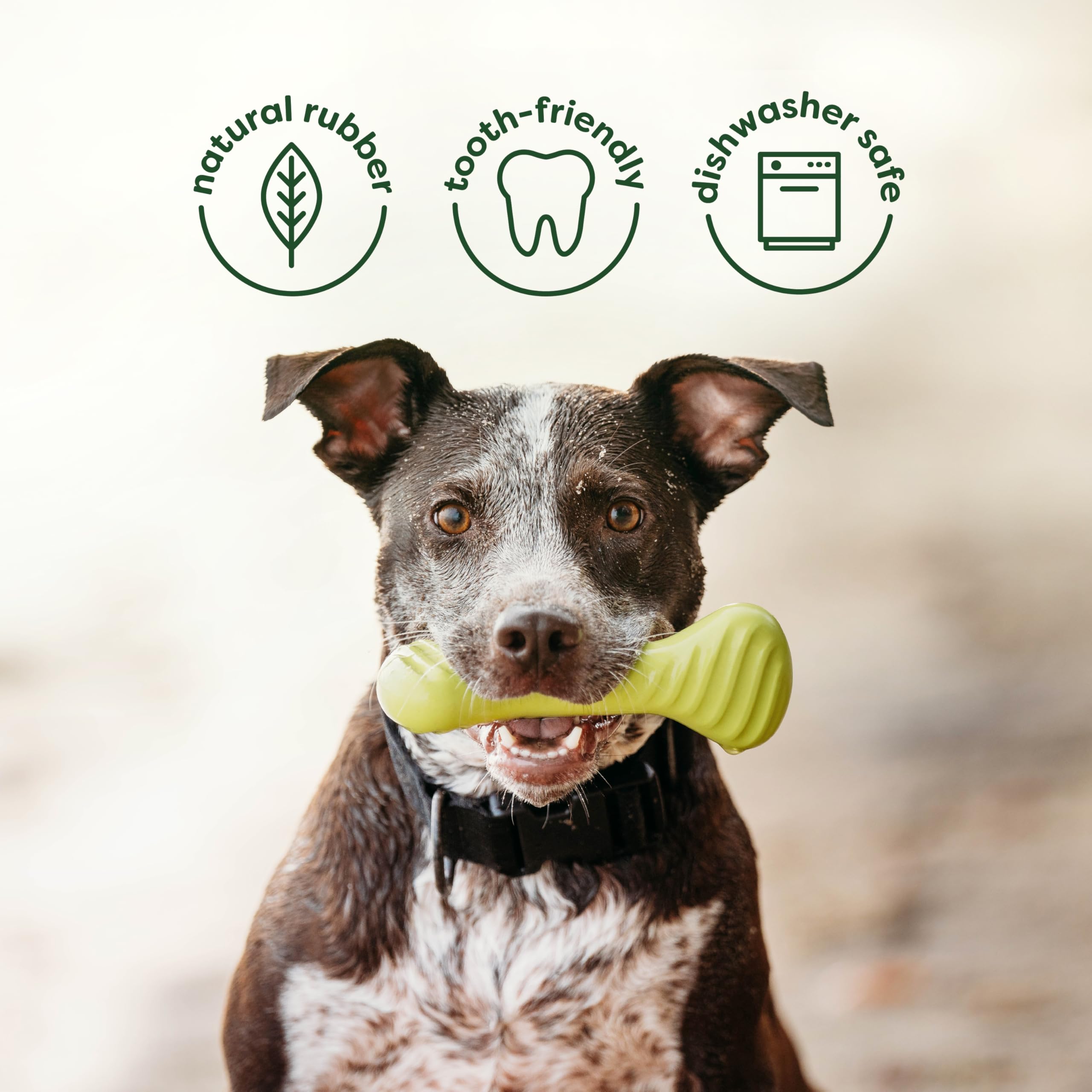 Jouet Benebone durable et résistant pour sessions actives et ludiques.