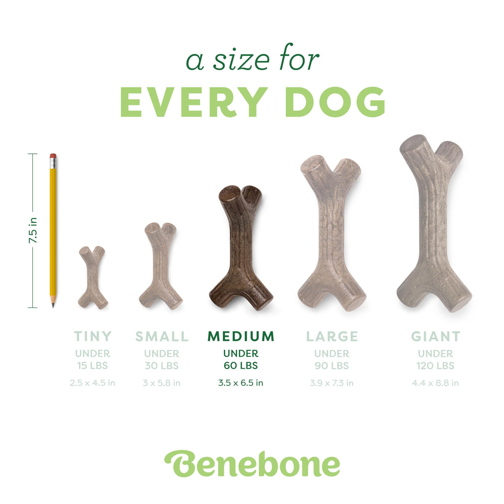 Benebone Maplestick saveur bois véritable pour une mastication naturelle.
