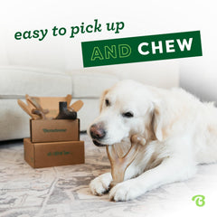 Benebone os durables pour chiens grands – stimule la mâchoire et la mastication