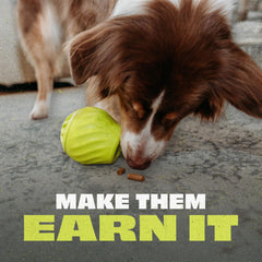 Benebone Pawbler : distributeur de croquettes ralentissant l’alimentation pour chien moyen/grand.