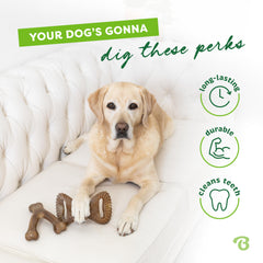 Benebone Prise en main — grip facile pour les pattes.