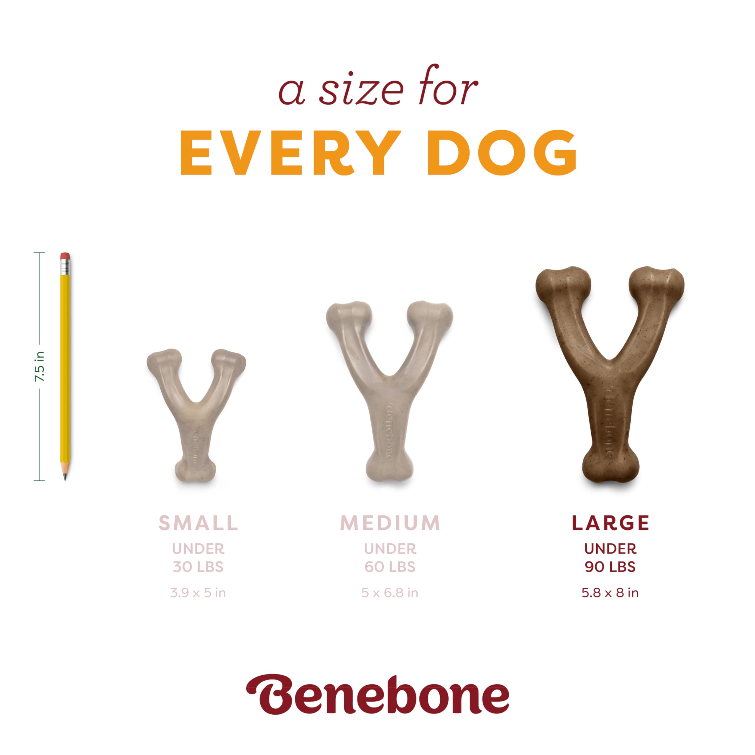 Benebone Pumpkin Spice, fabriqué aux États‑Unis, qualité et traçabilité.
